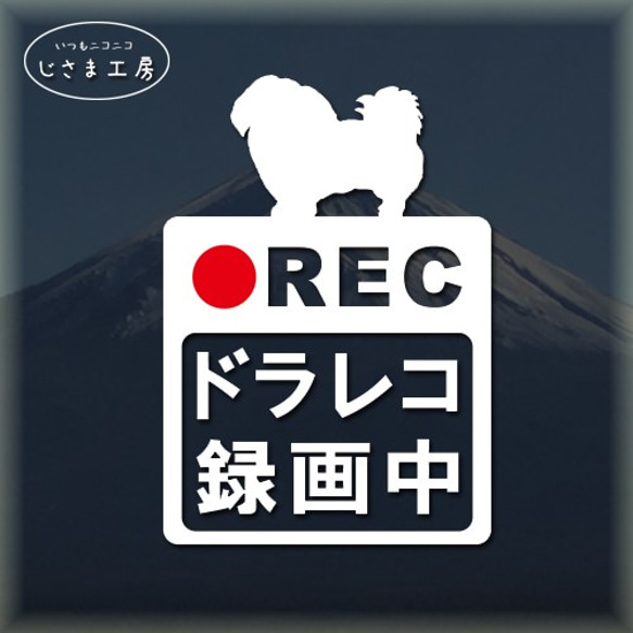 ペキニーズの白色シルエットステッカー危険運転防止!!ドライブレコーダー録画中