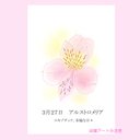 3月27日誕生花カード（花言葉つき）点描画