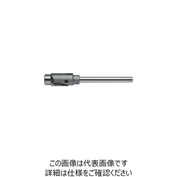 プラス工具製作所 プラス S軸超硬ザグリカッター S-10×6 PCS10B0 1本 257-9598（直送品）