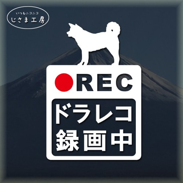 秋田犬の白色シルエットステッカー危険運転防止!!ドライブレコーダー録画中