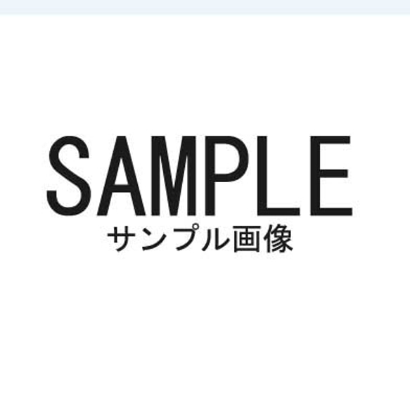 発送方法　定形外郵便→レターパックライトへ変更　＊レターパックプラスはオプションで