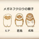 ＊再販＊『メガネフクロウの親子』消しゴムスタンプ