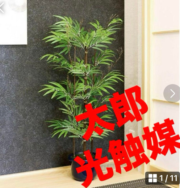 光触媒　人工観葉植物　ウォールグリーン　フェイクグリーン　黒竹 1.0m