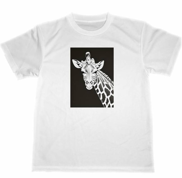 キリン　ドライ　Tシャツ　２　アニマル　イラスト　グッズ　動物　動物園　麒麟