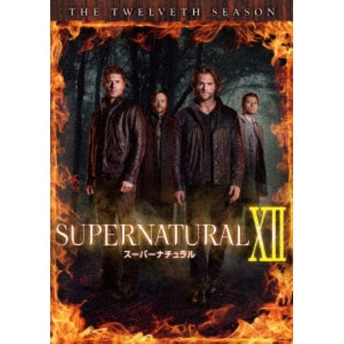 【DVD】SUPERNATURAL12[トゥエルブ・シーズン]コンプリート・ボックス