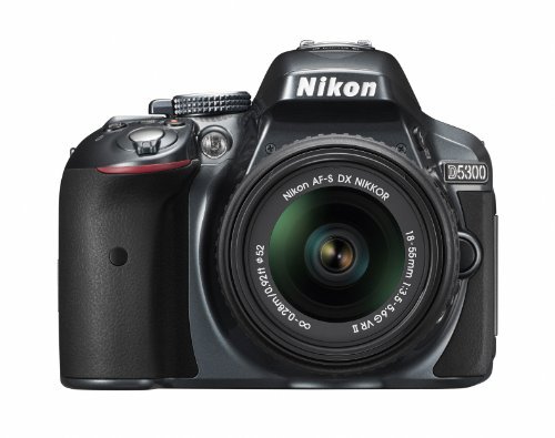 Nikon デジタル一眼レフカメラ D5300 18-55mm VR II レンズキット グレー 2400万画素 3.2型液晶 D5300LK18-55VR2GY【中古品】