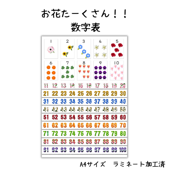 お花たーくさん！！数字表　A4サイズ　ラミネート加工済　お風呂で使用可　ナンバー　1から100まで