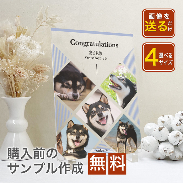 【 アクリルフォトパネル A67 】ペット 犬 dog わんちゃん いぬ 猫  ねこcat ねこちゃん ドッグインテリア