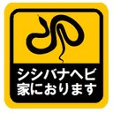 シシバナヘビ家におります カー マグネットステッカー