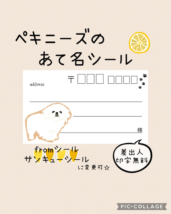 複数購入で割引☆ペキニーズの宛名シール50枚☆差出人印字無料★