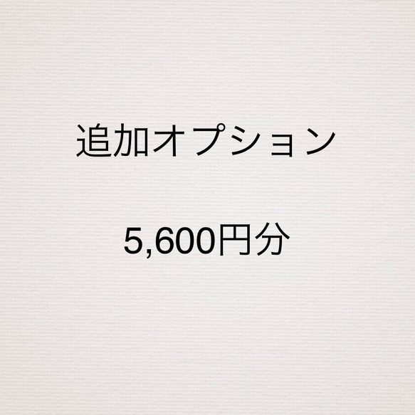 【追加オプション】『5,600円』