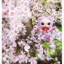 A2にゃん????  大丈夫だよ  あなたの心にも 桜の季節がくるから????メルティカカード????????2枚で1セット????