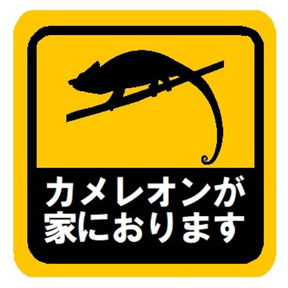 カメレオンが家におります カー マグネットステッカー