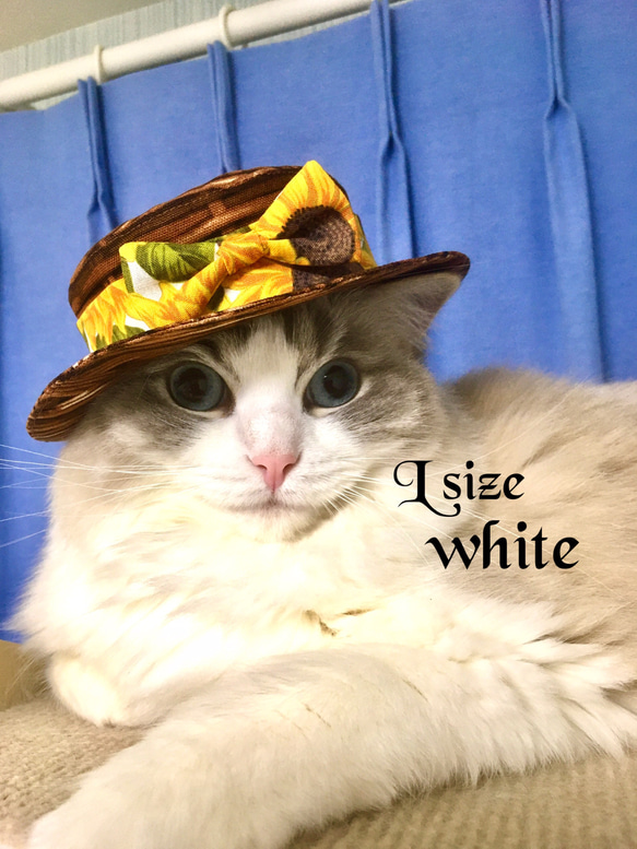 猫のカンカン帽　Lサイズwhite