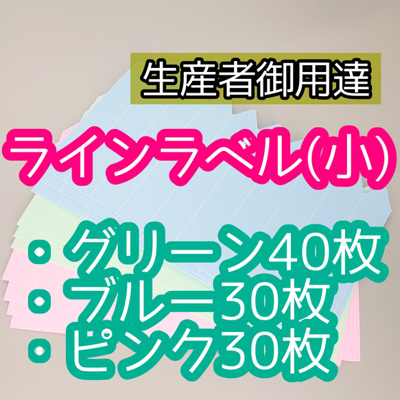 ラインラベル 小 緑 青 ピンク 100枚 園芸ラベル カラーラベル 多肉植物 エケベリア サボテン