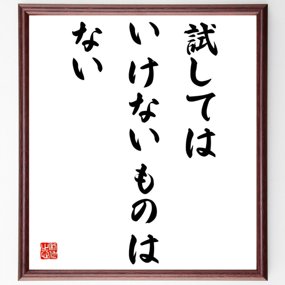 名言「試してはいけないものはない」額付き書道色紙／受注後直筆（V4115)