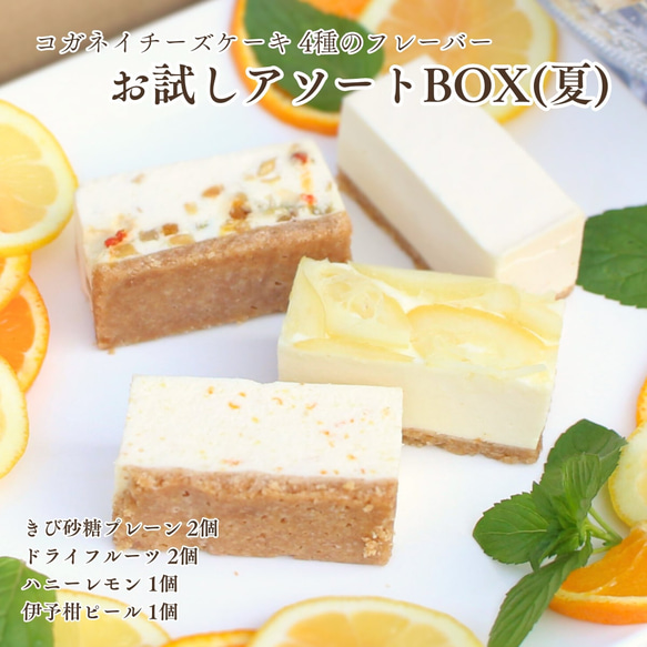 白砂糖不使用チーズケーキお試し4種セット（6個入）【暑中見舞い】【手土産】【誕生日】