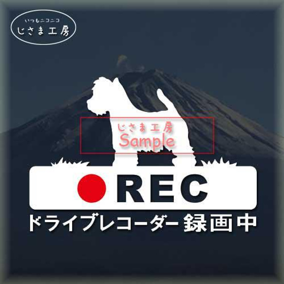 ウエストハイランドホワイトテリアの白色シルエットステッカー危険運転防止!!ドライブレコーダー録画中