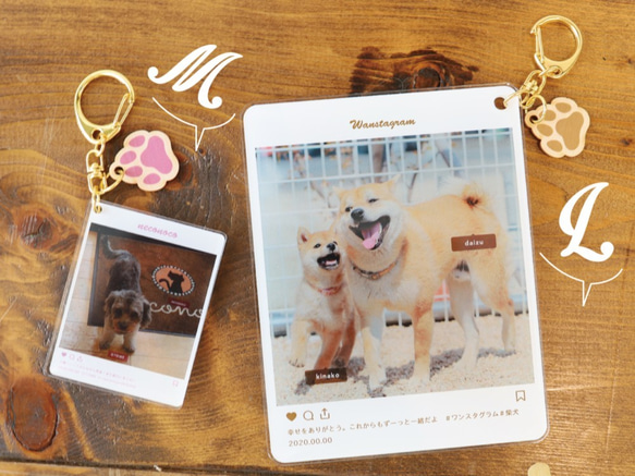 写真で作る♥ PhotoPrintCharm insta風デザイン　[PCIS]