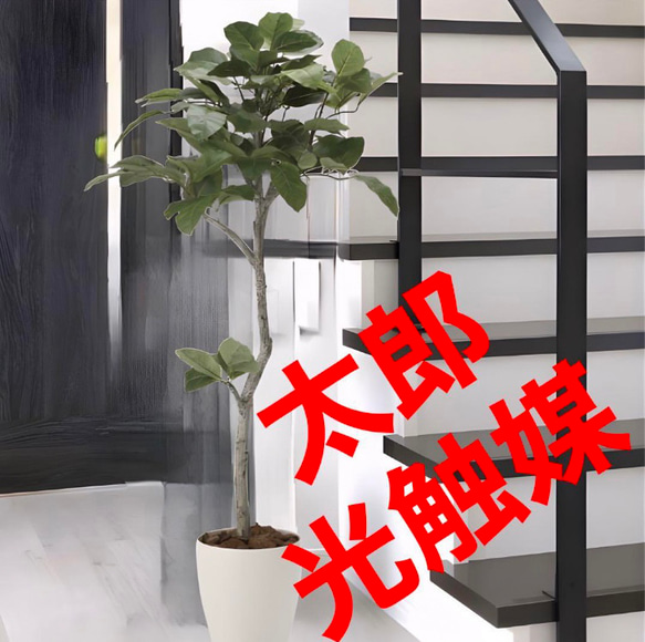 光触媒　人工観葉植物　ウォールグリーン　フェイクグリーン　ベンガル菩提樹1.35