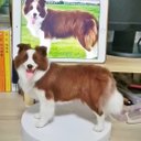 【オーダーメイドペット】羊毛フェルト、うちの子　犬ぬいぐるみ、フェルト犬、羊毛犬、肖像画、犬猫人形 プレゼントやギフトに