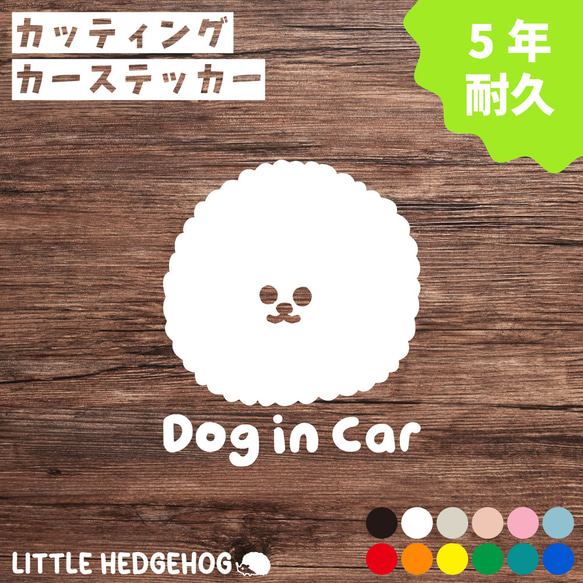 ビジョンフリーゼ　ドッグインカー　dog in car　犬　いぬ