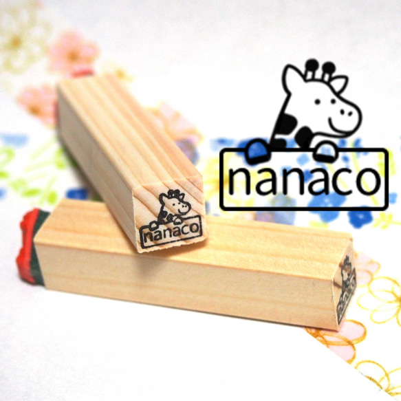 I-219-107　nanaco