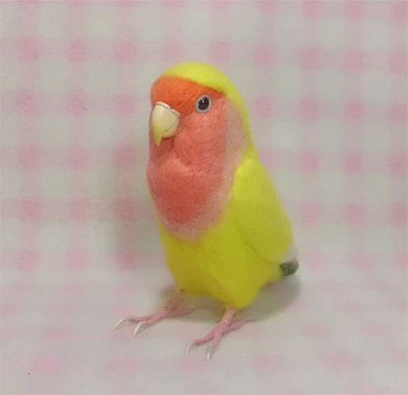 ライフサイズ コザクラインコ チェリｰ系 イエロ－　羊毛フェルト 受注作成 うちの子オーダー可能 羊毛インコ メモリアル