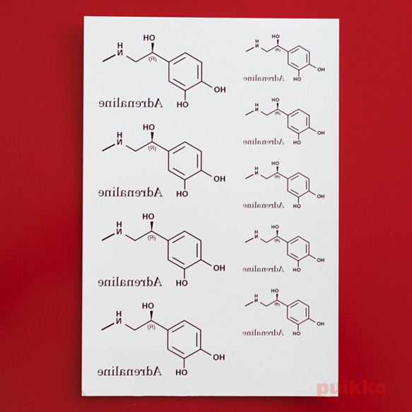 化学構造式　アドレナリン　タトゥーシール