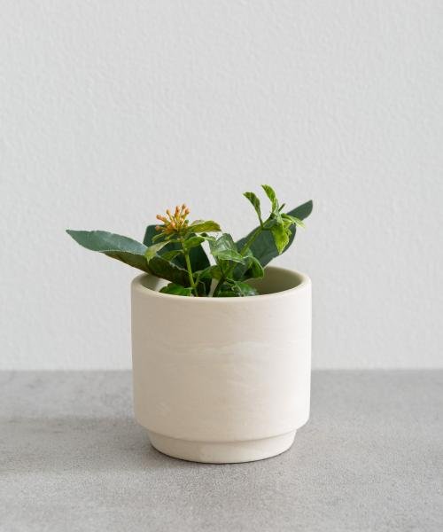 BLOMSTER　SOIL POT