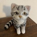 羊毛フェルト　猫　アメリカンショートヘア????