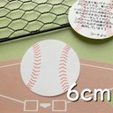 ⚾️野球 手書きメッセージシール　【硬式ver.】直径6ｃｍ 12枚