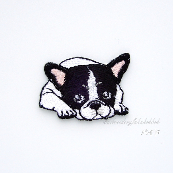 フレブルのチラ見　刺繍ワッペン　犬ワッペン　フレンチブルドッグ