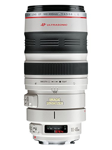 Canon 望遠ズームレンズ EF100-400mm F4.5-5.6L IS USM フルサイズ対応【中古品】