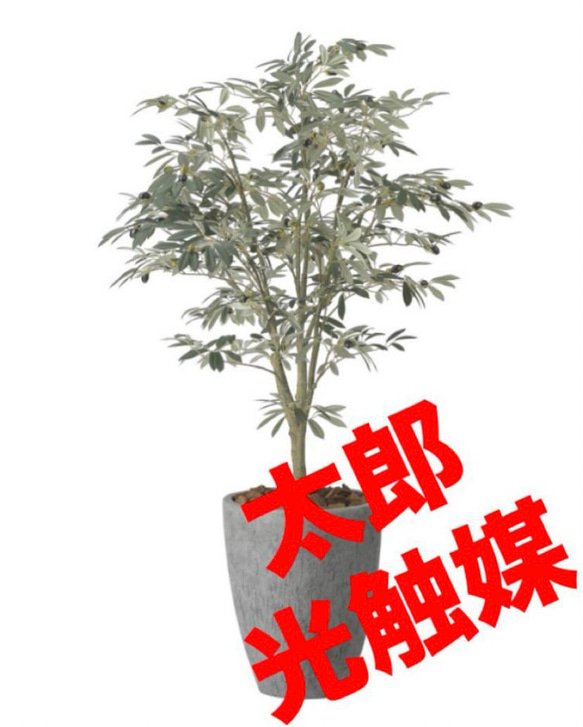 光触媒　人工観葉植物　フェイクグリーン　ナチュラルオリーブツリー1.5