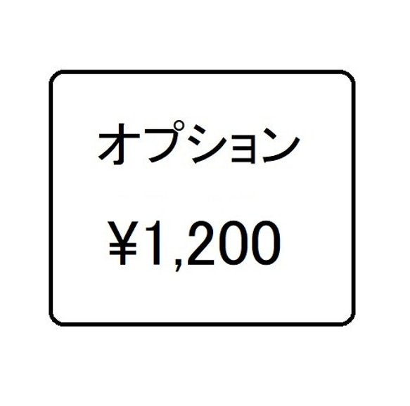 オプション　１２００円