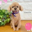 ◆こちらはサンプル画像になります◆羊毛フェルト♡ 愛犬 オーダー マスコット トイプードル