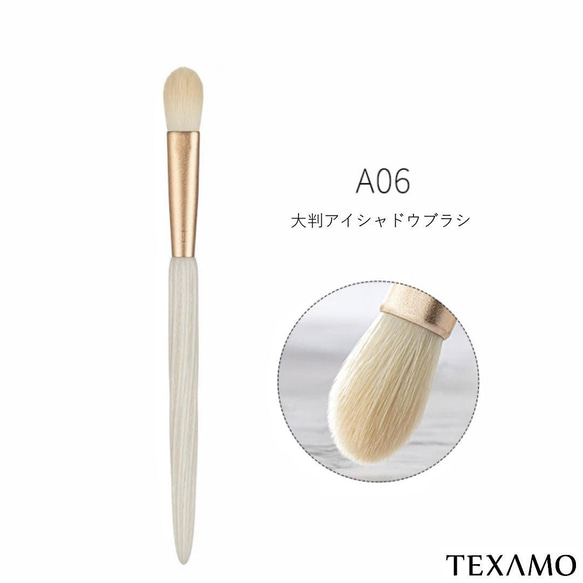 【人気】TEXAMO A06大判アイシャットブラシ