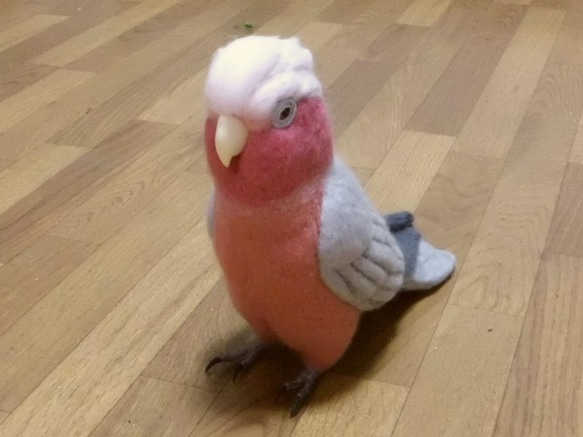 ライフサイズ モモイロインコ  羊毛インコ Real size  Galar  受注作成　工房小鳥屋さん 羊毛フェルト