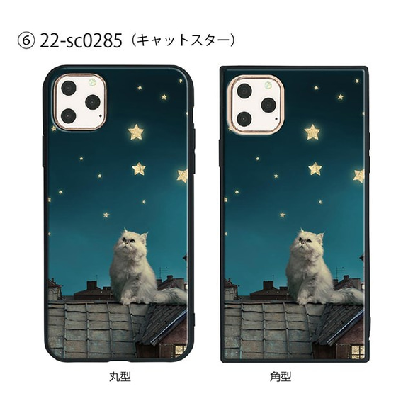 ガラス保護フィルム付 iPhone 11 Pro Max ケース 【スター】