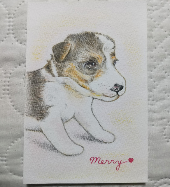 「Merry」