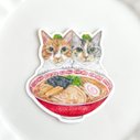 ラーメンだいすき！猫中華なステッカー