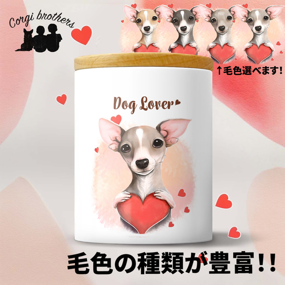 【 キュンです イタリアングレーハウンド 】 キャニスター　保存容器　お家用　プレゼント　犬　ペット　うちの子　犬グッズ