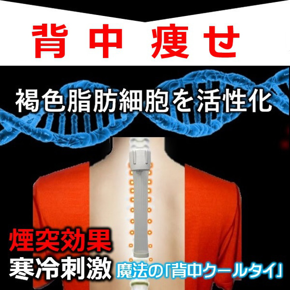 瘦せるサプリ お茶 やり ながらダイエット お腹 引き締め 脂肪燃焼 即効果 背中痩せ ダイエット器具 背中クールタイ