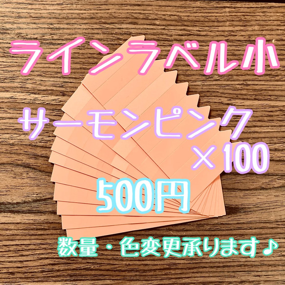 ◎オーダー可◎ 100枚 ◎ サーモンピンク 小 ラインラベル 園芸ラベル カラーラベル