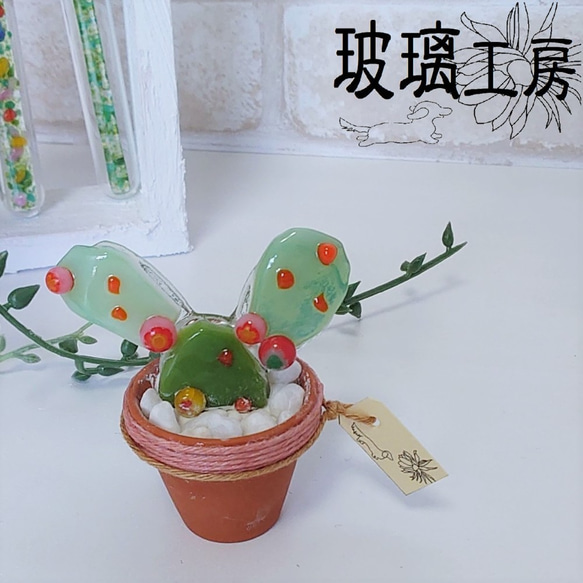 ミニサボテン　多肉植物　サボテン　ミニ鉢　ガラス　インテリア　グリーン　2