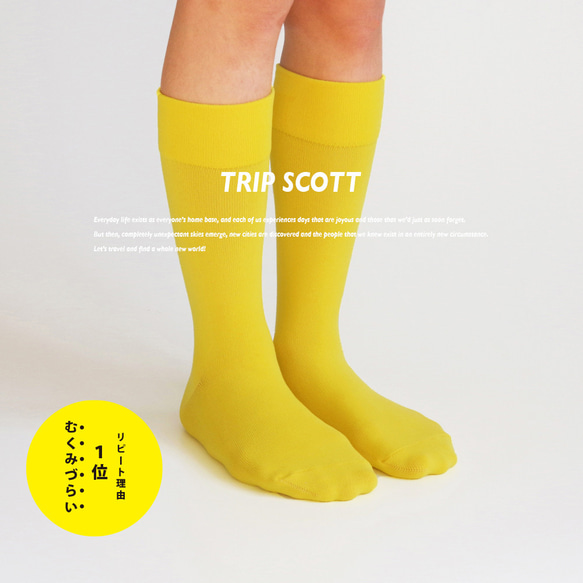 キナリノ掲載 レディースソックス 靴下 黄色 イエロー フィット「TRIP SCOTT」 YELLOW