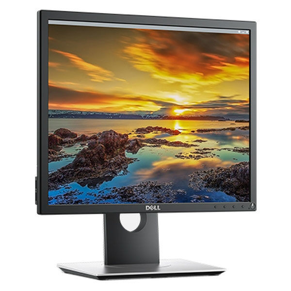 DELL(デル) プロフェッショナルシリーズ　19インチスクエア液晶モニター P1917S 1台