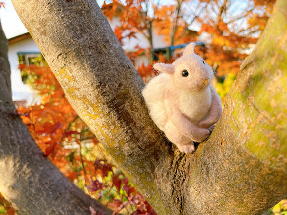 羊毛フェルト　モフモフしっぽの森のリス くすみピンク