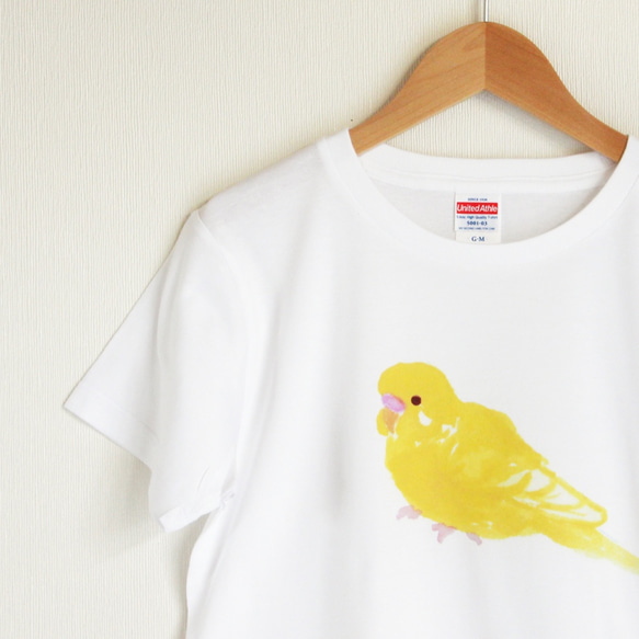 p-jet　ほわっとした セキセイインコ ルチノー  Tシャツ　 / 鳥